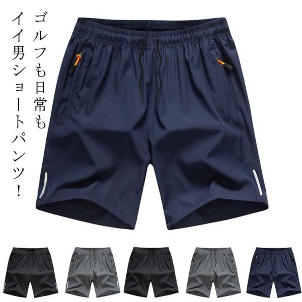 V[gpc StEFA Y  Stpc n[tpc  Y t Zp StY G 傫TCY Xgb` S