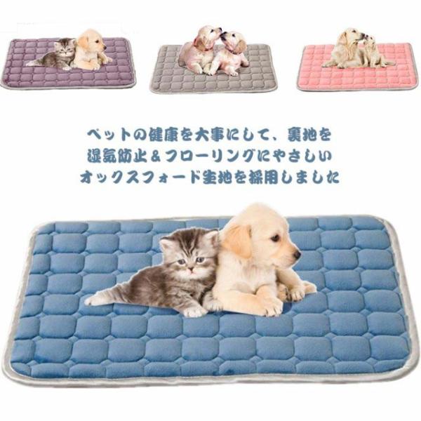 耐噛みペットベッド！猫 犬 ベッド マット クッション ペットベッド 犬ベッド 猫ベッド 中小型犬 耐噛み 丸洗える ペット用品 おしゃれ 可愛い 寒