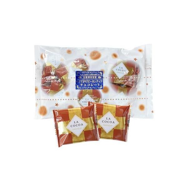 WEB限定 大容量ココアがけピーカンナッツチョコレート360g