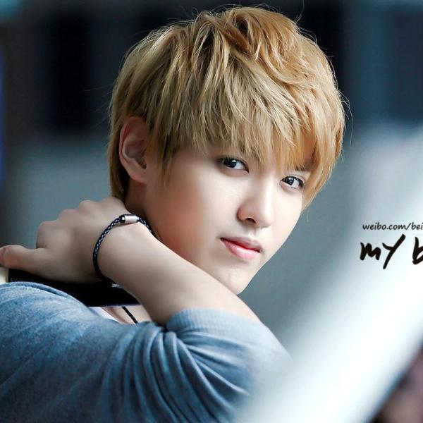 ウィッグ ショート 黒 みんな探してる人気モノ ウィッグ ショート 黒 美容 コスメ 香水