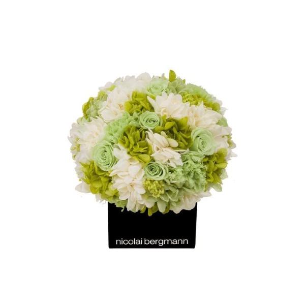Nicolai Bergmann ニコライバーグマン] プリザーブド フラワー