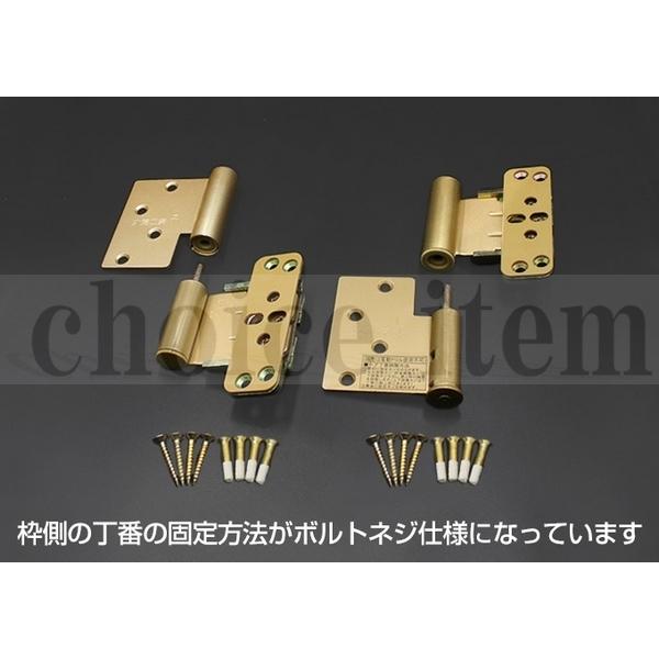 DAIKEN DOOR 10個セット 楽天市場】大建工業 ハピア ピボット丁番セット塗装タイプ [T