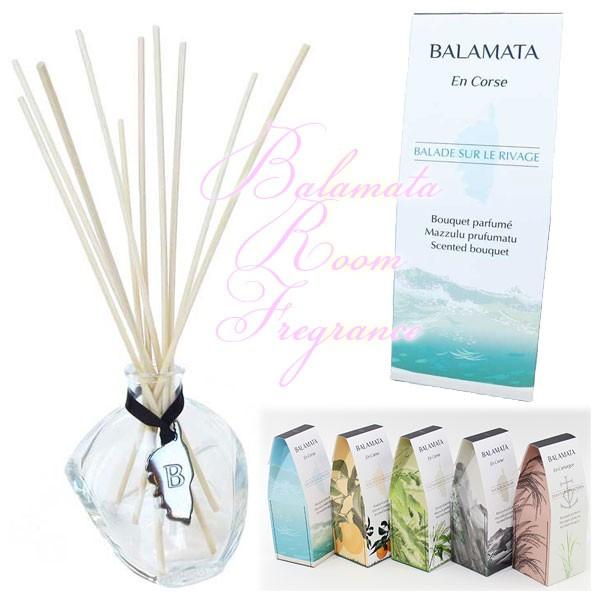 ZebhfBt[U[ o}^ 100ml (ot)  F [tOX Mtg g\[ BSR-012 MDS-012 MDS-