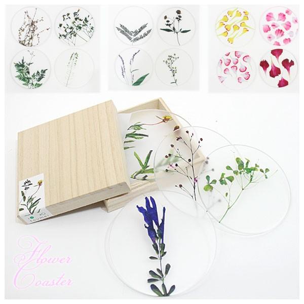 Toumei トウメイ 押し花 Coaster コースター A B C D カーネーション Ot 524 To Coaster Choice Select 通販 Yahoo ショッピング