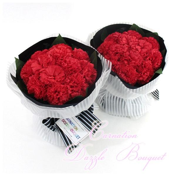 Q-FLA J[l[V _Yu[P oX\[v  Ό  t[\[v Mtg ̓ KN 