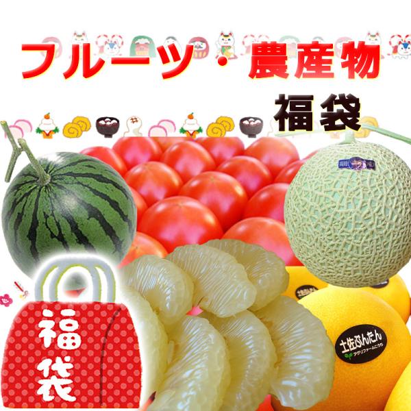 【名称】新春福袋 フルーツ農産物福袋【豪華版】【内容】フルーツを中心に豪華にいろいろお詰めいたします。高知のこだわりフルーツや農産物！フルーツや地場産品を詰めた福袋です。送料・消費税ぜんぶ込み！「初荷」に「お年賀」に、ぜひどうぞ！【ご注意】...