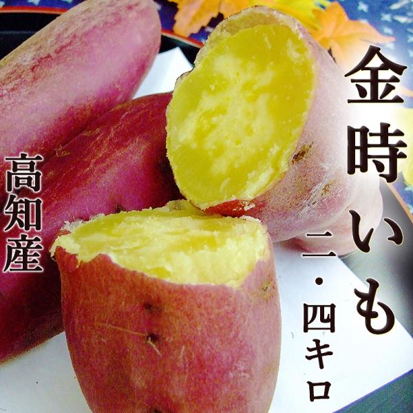 ܂  2.4kg ܂ M`LTCY  y mY Y Ƃ n14 Ï H@ Z[X yg Ă