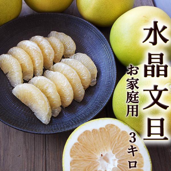 文旦 水晶文旦 約3kg 送料無料 光センサー選果 ご家庭用 5〜8玉入 高知産 文旦 すいしょうぶんたん ぶんたん 晩白柚 マーマレード 糖度 プレゼント