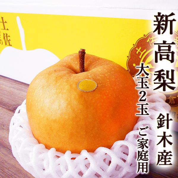 梨 新高梨 針木産 まるはり にいたかなし 大玉２玉セット 送料無料 ご家庭用 約800g/1玉 高知産 はりぎ マルハリ 超大玉限定 国産 甘い 高糖度 梨 ナシ