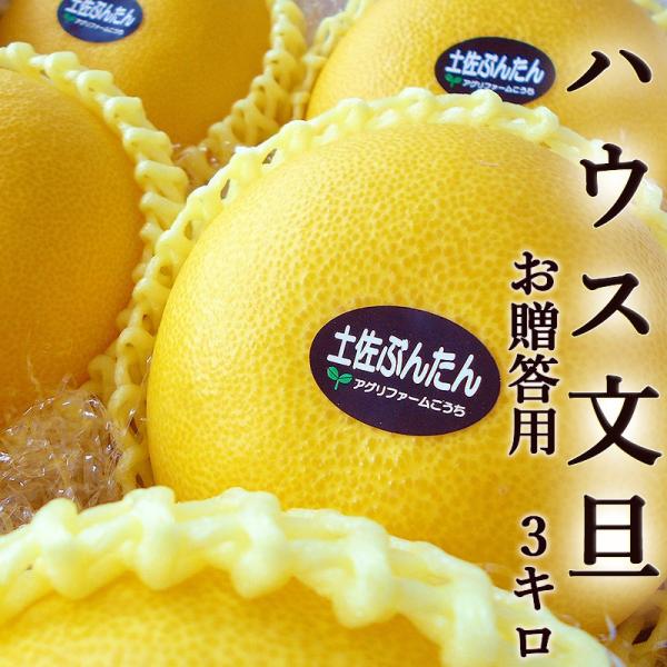 U U 3L pi 5`6ʓ nEXԂ񂽂  mY ZT[I Y Ԃ񂽂 x Mtg v[g Ε