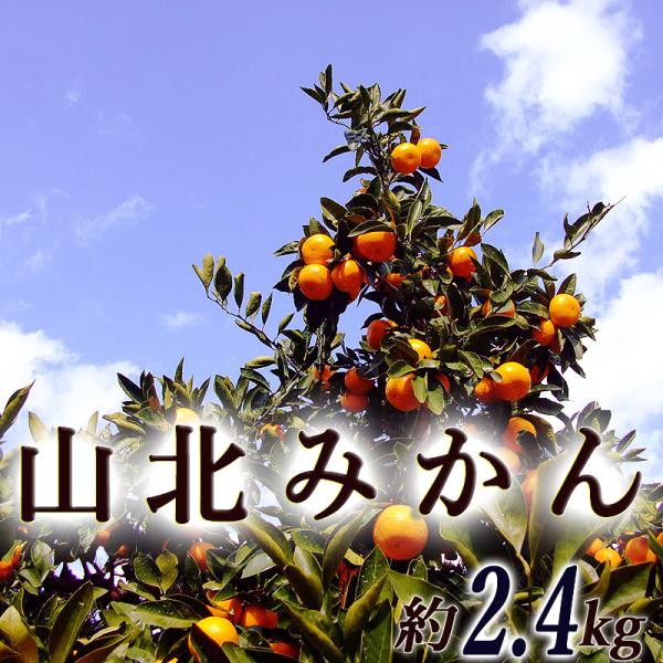 ݂ Rk݂ 2.4L p  ϔ mY RkY MLTCY Â x Z ~J  B݂ r^~C Mtg