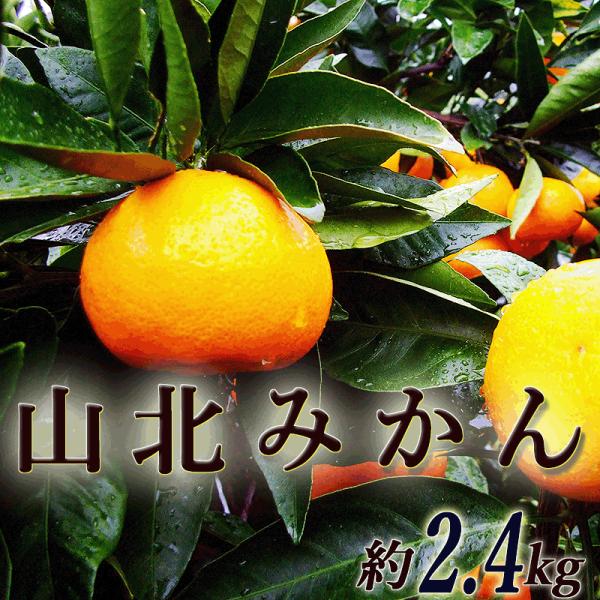 ݂ Rk݂ 2.4L ƒp  mY RkY MLTCY Â x Z ~J  B݂ ݂ r^~C Mtg