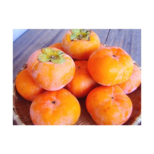 ` Y` 낤 7L mY 24`38 ƒp GiN ` JL