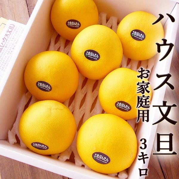 U U 3L ƒp 5`8ʓ nEXԂ񂽂  mY ZT[I Y Ԃ񂽂 x Mtg v[g ݂ Ε