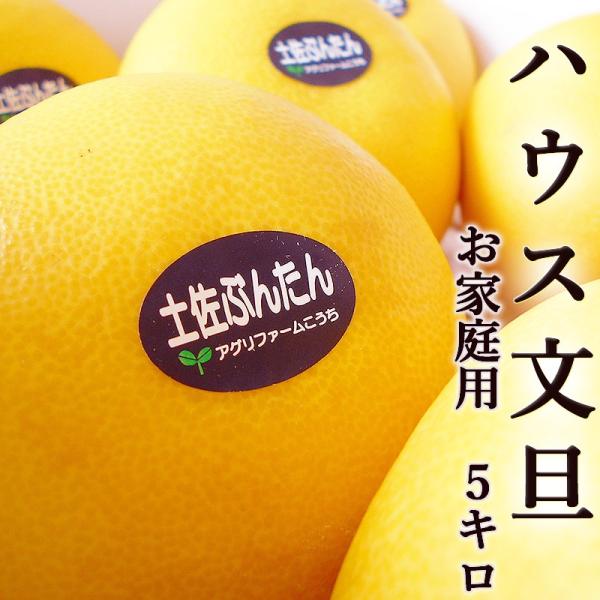 U U 5L ƒp 6`8ʓ nEXԂ񂽂  mY ZT[I Y Ԃ񂽂 x v[g t[c Ε