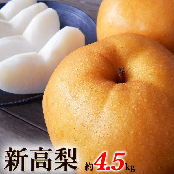 梨 新高梨 にいたかなし 超大玉限定 約4.5kg 5〜6玉入 約800g/1玉 高知産又は福岡産又は大分産 ご家庭用 送料無料 産地直送 国産 甘い 高糖度 梨 ナシ お歳暮