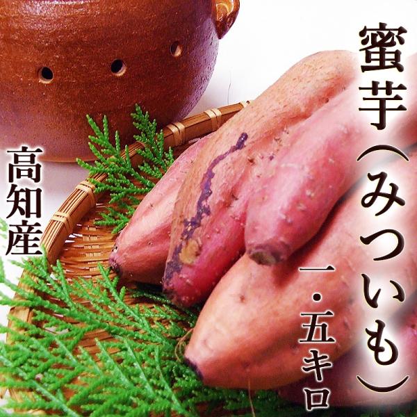 さつまいも 蜜芋 焼き芋専用 安納芋品種 約1.5キロ M〜Lサイズ 高知産
