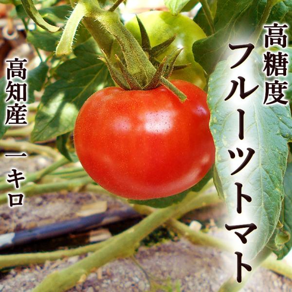 【内容】フルーツトマト【内容量】約１キロ（10玉〜15玉）（玉数おまかせ）【産地】高知県香南市夜須町【「フルーツトマト」とは？】太陽の恵みをたっぷり受けた高知県夜須町のフルーツトマトです。昼夜の寒暖差が大きい環境で水やりを極限まで抑え、トマ...