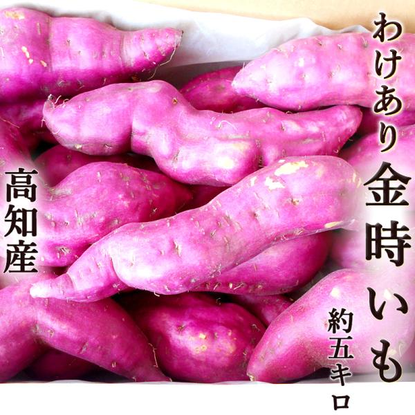 わけあり 金時いも 約5kg さつまいも 送料無料 サイズおまかせ 形の