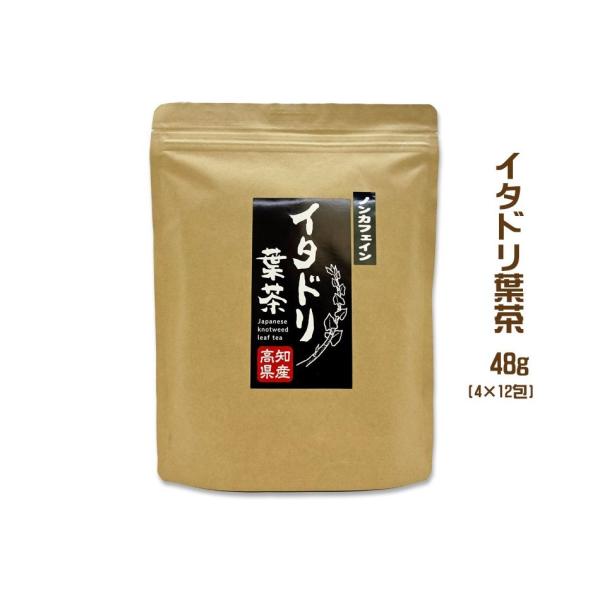 イタドリ葉茶 高知産 48g ティーバッグ4ｇ×12包 高知産イタドリ葉使用 いたどり 虎杖 ポリフェノール ノンカフェイン スカンポ たしっぽ knotweed
