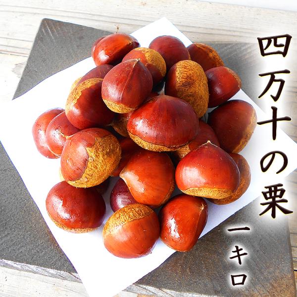 栗 四万十の栗 約1kg 送料無料 高知産 28〜35玉ほど クリ くり 生栗 甘い 粉質 蒸し栗 焼き栗 茹で栗 丹沢 筑波 銀寄 利平 石鎚 岸根