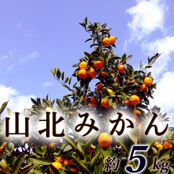 ݂ Rk݂ 5L  ϔ mY RkY MLTCY p Â x Z ~J  B݂ r^~C Mtg