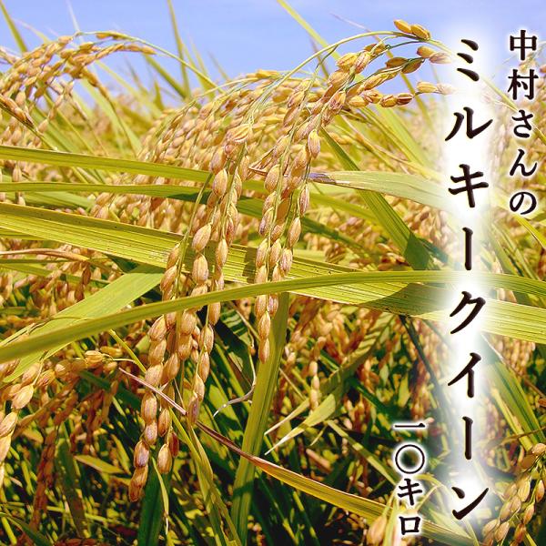 【新米】ミルキークイーン 10kg 令和8年産 送料無料 中村さんのミルキークイーン 高知産 もちもち 粘り 冷めてもおいしい おにぎり・お弁当におすすめ
