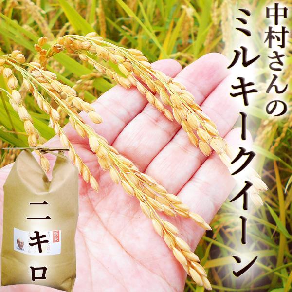 【新米】ミルキークイーン 2kg 令和8年産 送料無料 中村さんのミルキークイーン 高知産 もちもち 粘り 冷めてもおいしい おにぎり・お弁当におすすめ