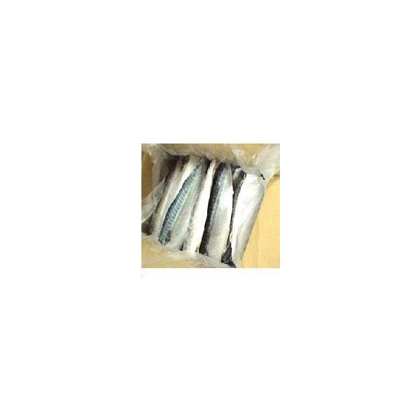  5kg 22`28 ^pbNȂ ̂܂ ItB[   z I To ΃tB mEF[ Ɩp mEF[Y ĂIi