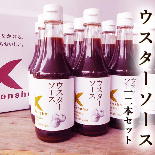 EX^[\[X 300ml×12{  v~A Rh XpCV[\[X LO\[X PV[ m__Ƃ̖؎gp ˊCm[w z Ⴑ
