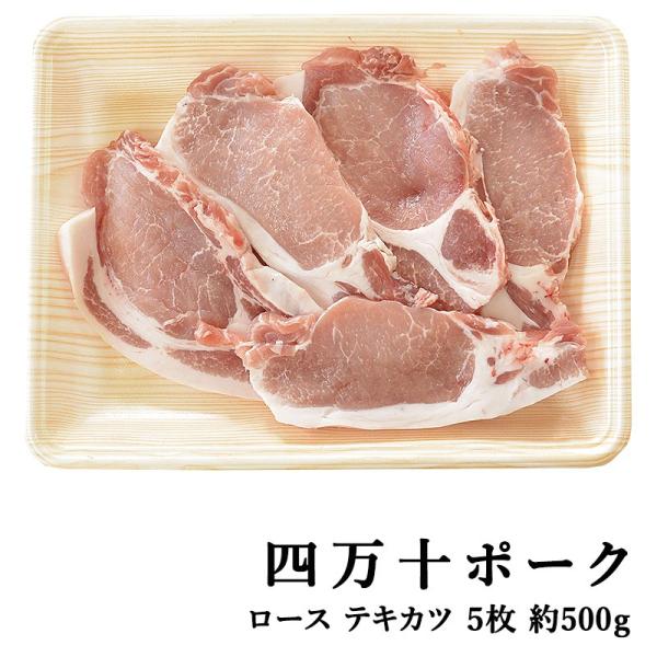 四万十ポーク 窪川ポーク ロース・テキカツ 5枚 約500g 高知産 豚肉 ポーク 焼肉 ステーキ 高級 ギフト プレゼント お取り寄せ 産地直送 お歳暮 (200022)