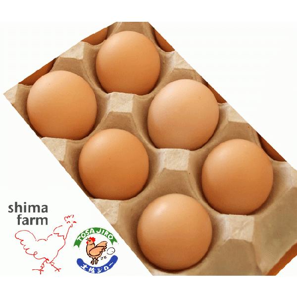 肳 yW[܂ PQʃZbgi6ʓ×2j mY 蔎q  ʎq ^}S egg L yn{ [hACh Mtg