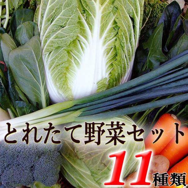 ƂꂽĖ PPރZbg lߍ킹 mY VsEǉ@\t  VN  nY ܂ ؖȓ Mtg yY Yn Y lߍ