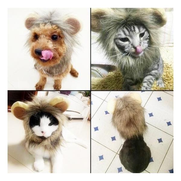 着ぐるみ コスプレ 犬用ペット服の人気商品 通販 価格比較 価格 Com