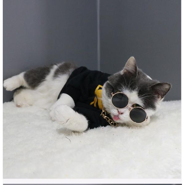猫用犬用サングラス ワンちゃん 猫ちゃん 猫用メガネ犬用眼鏡 カワイイカコイイペット用サングラス 猫 犬 チワワ 小型犬 ペット 犬用メガネ ペットメガネ Buyee 日本代购平台 产品购物网站大全 Buyee一站式代购 Bot Online