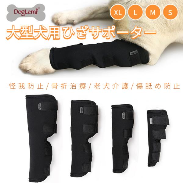 ポベオ膝蓋骨サポーター 大型犬専用 レビュー紹介】ポベオ膝蓋骨サポーターを実際に着用したワン