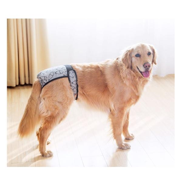 大型犬用オムツカバー 術後の保護 ペットケア ペット生理オムツ オシッコ対策 サニタリーショーツ マナーパンツ ペット用品 お出かけ Buyee Buyee Japanese Proxy Service Buy From Japan Bot Online