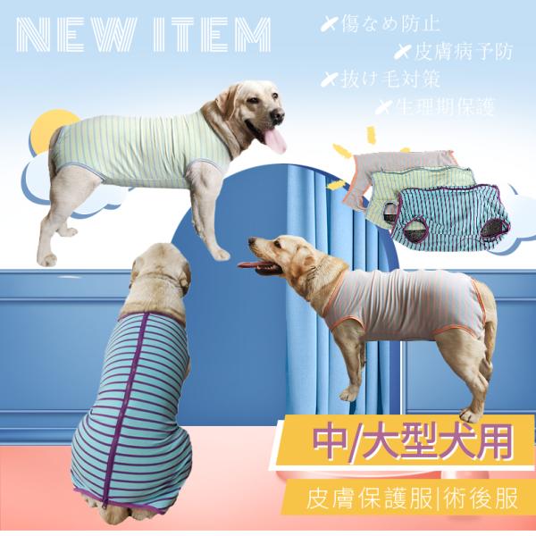 大型 犬 エリザベスカラー 犬用ペット服の人気商品 通販 価格比較 価格 Com