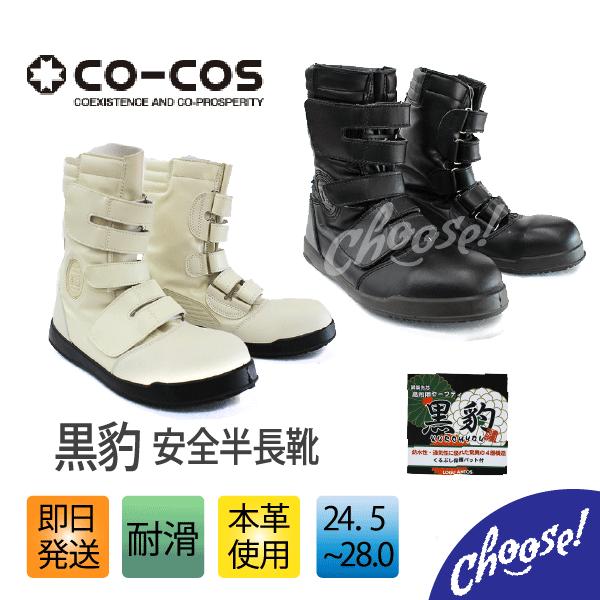 SC co-cos@^ R[RXM@C  ZA-08@p ƌC {@@