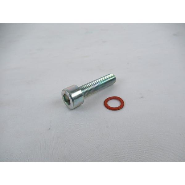 YAMAHA 純正 インド仕様R15M/インド仕様R15 V4 ダンパーロッドボルトセット #2FS-F3158-00/BCW-F3181-00