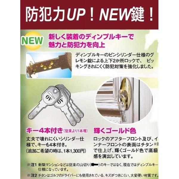 玄関 網戸 マンション 鍵つき 玄関網戸 網戸 サッシ節電 エコ ナイスウインズドア ポスト付 送料無料 Buyee Buyee 日本の通販商品 オークションの代理入札 代理購入