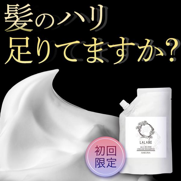 LALABE ララビ クリームシャンプー 初回限定価格 300g シャンプー 美