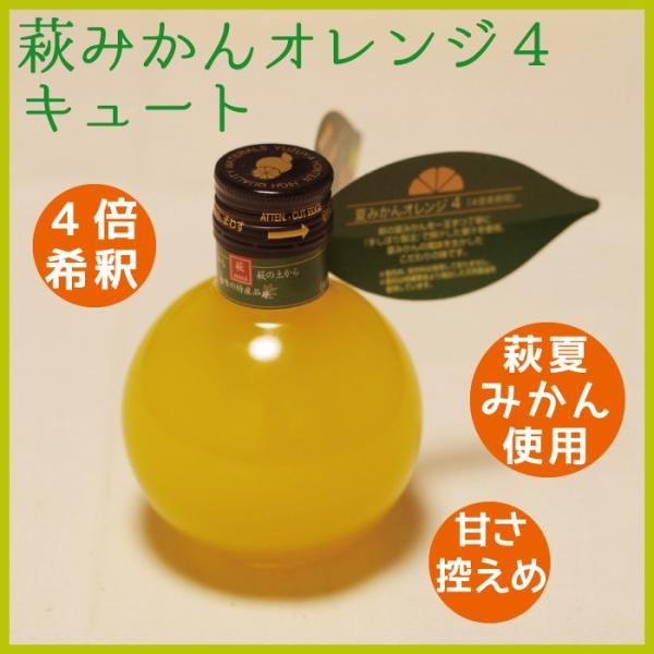 夏みかんオレンジ4キュート 180ml 4倍希釈 山口 萩 : 山口ぶち