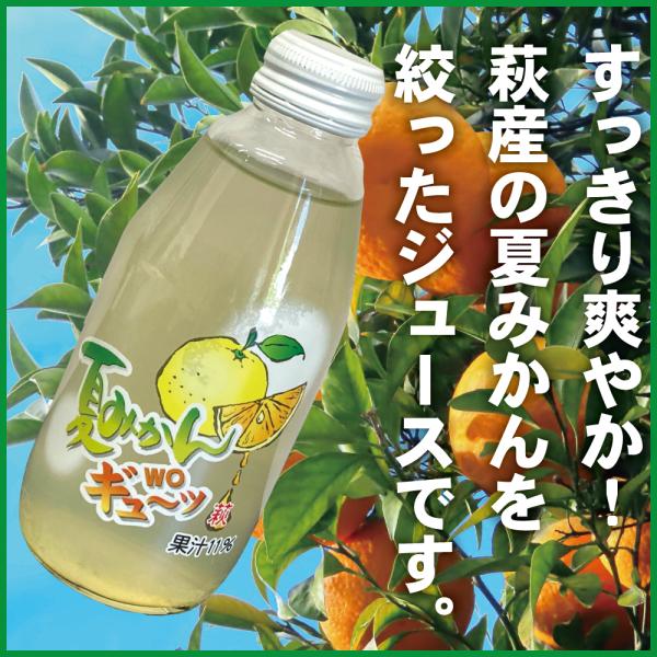 夏みかんWOギュ〜ッ 200ml 瓶 ジュース 山口県 萩 おみやげ : 山口ぶち