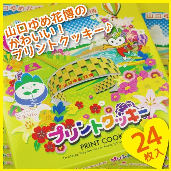 山口ゆめ花博プリントクッキー 24枚入り 山口県 きらら お土産 人気 期間限定 Buyee Buyee 日本の通販商品 オークションの代理入札 代理購入