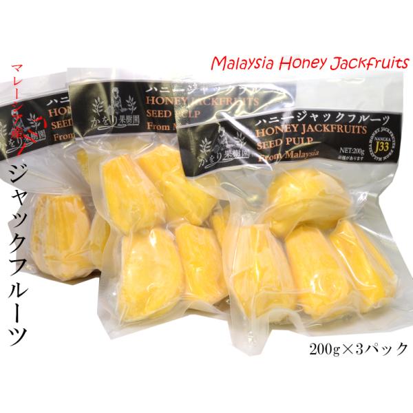 ジャックフルーツ　10パック 自然食品・マクロビオティック通販有機ジャックフルーツ缶詰