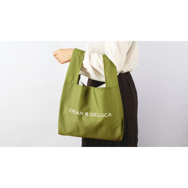 DEAN & DELUCA ディーン&デルーカ オイシックスコラボ ポーチ付き 簡易式保冷エコバッグ