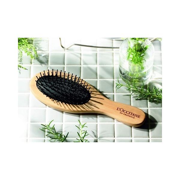 L'OCCITANE 「ロクシタン」秋のビューティセット パドルブラシ