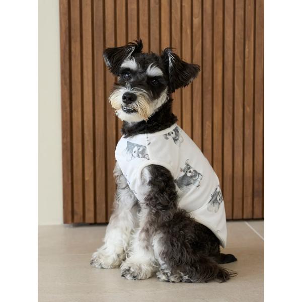 ジェラートピケ　ブランケット　シュナウザー ジェラートピケ gelato pique【CAT&DOG】シュナウザー柄カットソープル