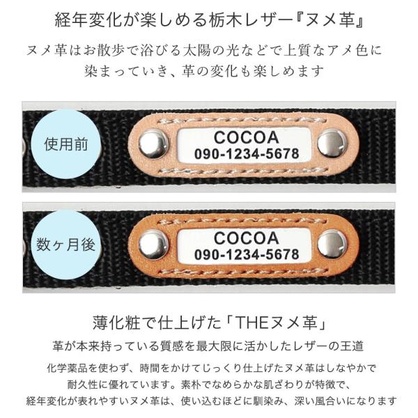 犬 ハーネス 迷子札 名前入り ネームタグ 犬のハーネス 胴輪 小型犬 中型犬 ナイロン 軽量 おしゃれ かわいい シンプル カラー リード 15mm 首輪 Dejapan 手数料０円で日本の商品を購買代行 落札代行